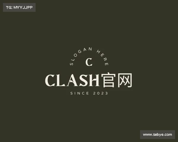 关于clash官网